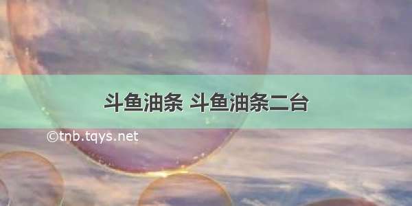 斗鱼油条 斗鱼油条二台