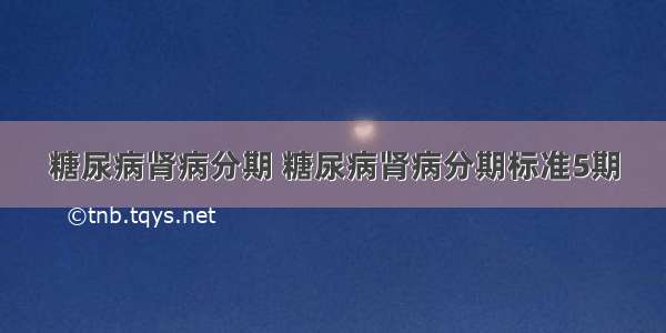 糖尿病肾病分期 糖尿病肾病分期标准5期