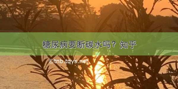 糖尿病要断碳水吗？知乎