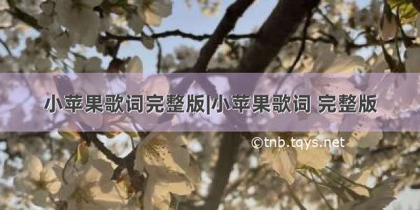 小苹果歌词完整版|小苹果歌词 完整版