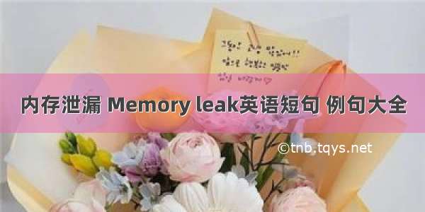 内存泄漏 Memory leak英语短句 例句大全