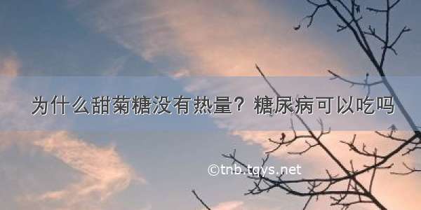 为什么甜菊糖没有热量？糖尿病可以吃吗