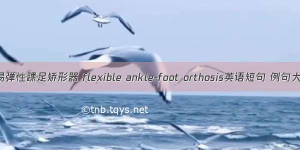 简易弹性踝足矫形器 flexible ankle-foot orthosis英语短句 例句大全