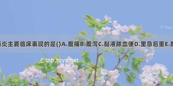 不属溃疡性结肠炎主要临床表现的是()A.腹痛B.腹泻C.黏液脓血便D.里急后重E.腹部包块ABCDE