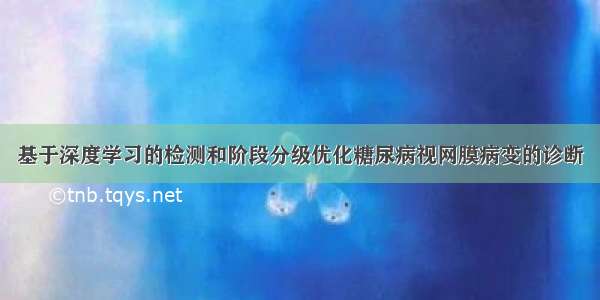 基于深度学习的检测和阶段分级优化糖尿病视网膜病变的诊断