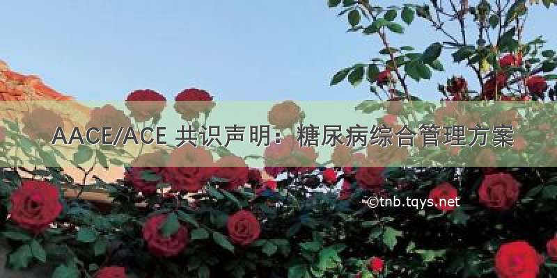  AACE/ACE 共识声明：糖尿病综合管理方案