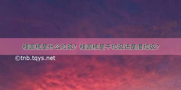 桂圆核是什么垃圾？桂圆核是干垃圾还是湿垃圾？