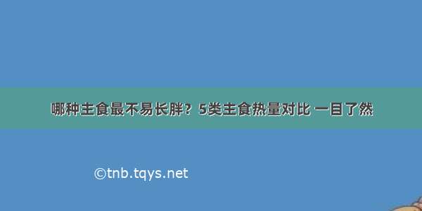 哪种主食最不易长胖？5类主食热量对比 一目了然