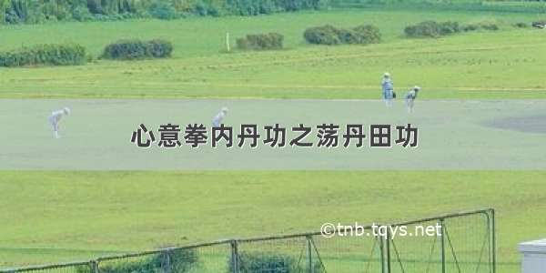 心意拳内丹功之荡丹田功