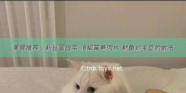 美食推荐：粉丝圆白菜 泡椒莴笋肉片 鱿鱼炒毛豆的做法