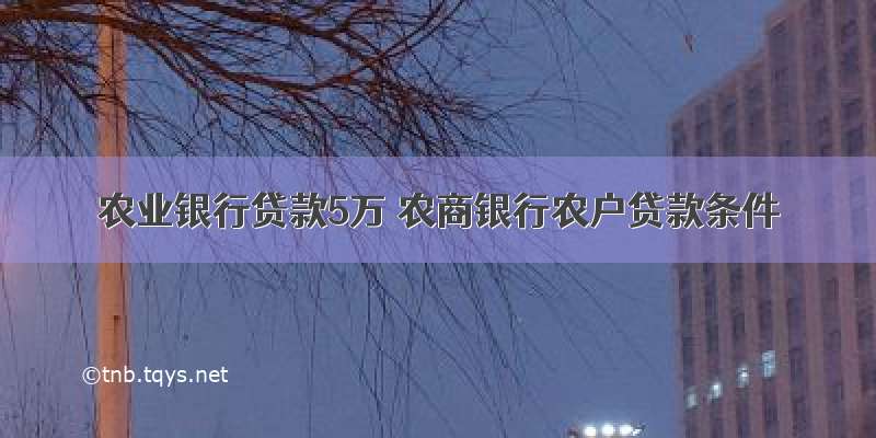 农业银行贷款5万 农商银行农户贷款条件