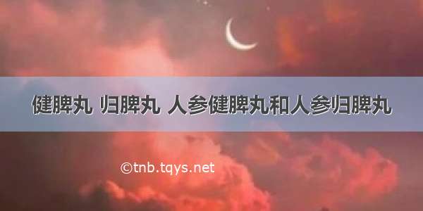 健脾丸 归脾丸 人参健脾丸和人参归脾丸