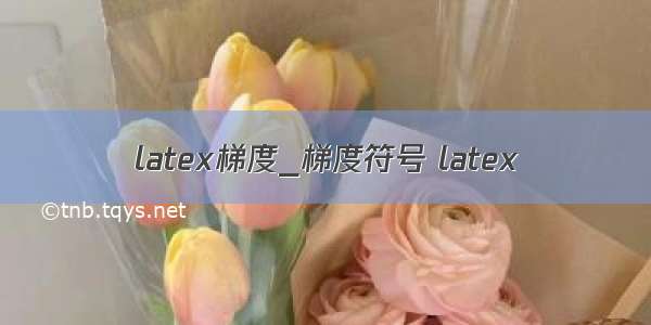 latex梯度_梯度符号 latex