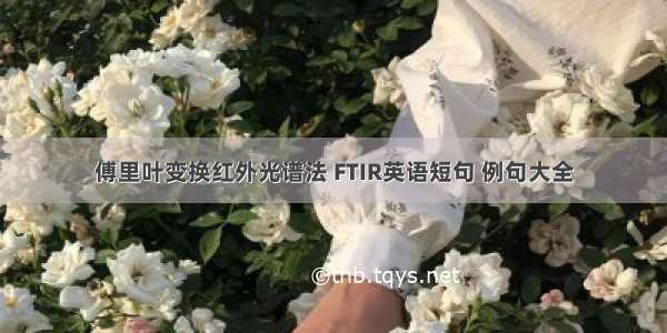 傅里叶变换红外光谱法 FTIR英语短句 例句大全