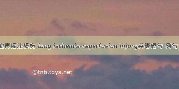 肺缺血再灌注损伤 lung ischemia-reperfusion injury英语短句 例句大全