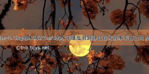 如图所示 质量m=0.5kg的木块以1m/s的水平速度滑到静止在光滑水平面上的 质量为M=2kg