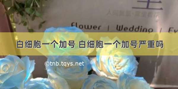 白细胞一个加号 白细胞一个加号严重吗