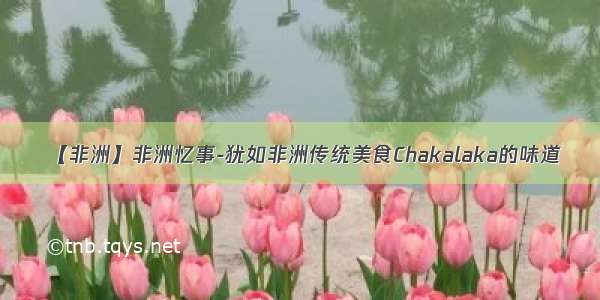 【非洲】非洲忆事-犹如非洲传统美食Chakalaka的味道