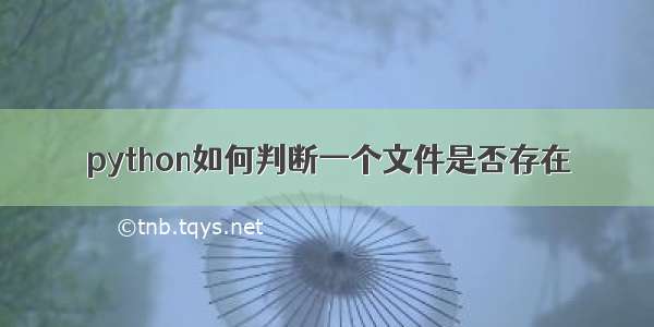 python如何判断一个文件是否存在