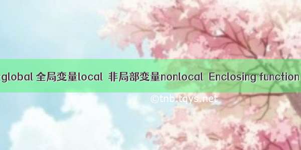 Python 局部变量global 全局变量local  非局部变量nonlocal  Enclosing function locals作用域