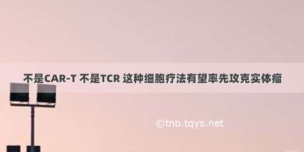 不是CAR-T 不是TCR 这种细胞疗法有望率先攻克实体瘤