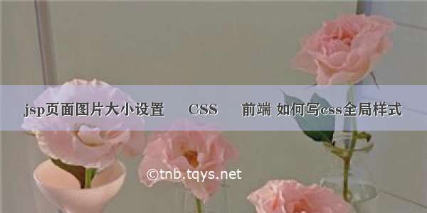 jsp页面图片大小设置 – CSS – 前端 如何写css全局样式