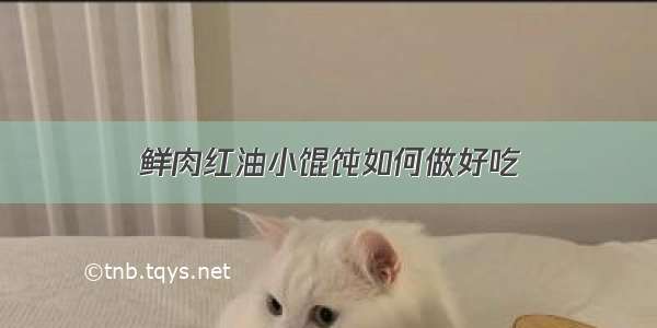 鲜肉红油小馄饨如何做好吃