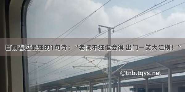 目前看过最狂的1句诗：“老阮不狂谁会得 出门一笑大江横！”