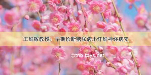 王维敏教授：早期诊断糖尿病小纤维神经病变