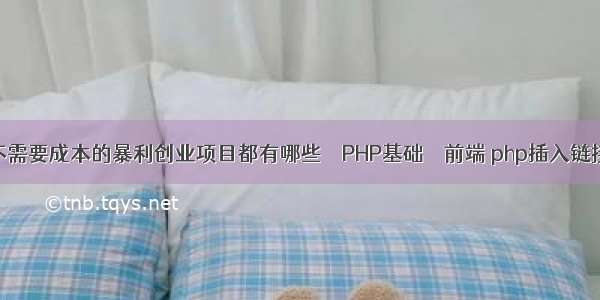 不需要成本的暴利创业项目都有哪些 – PHP基础 – 前端 php插入链接