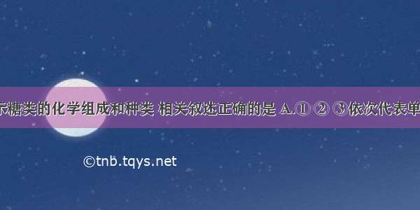 下图表示糖类的化学组成和种类 相关叙述正确的是 A.① ② ③依次代表单糖 二糖 