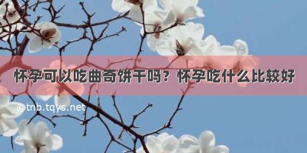 怀孕可以吃曲奇饼干吗？怀孕吃什么比较好