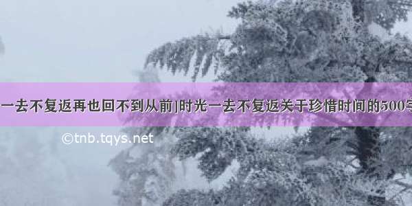 [时光一去不复返再也回不到从前]时光一去不复返关于珍惜时间的500字作文