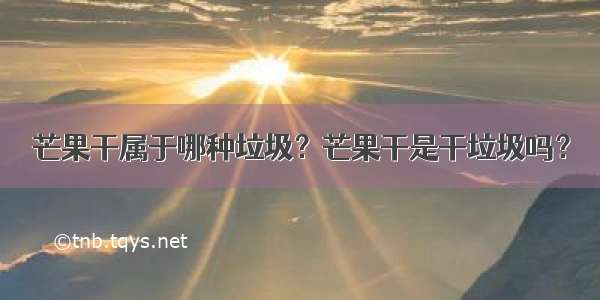 芒果干属于哪种垃圾？芒果干是干垃圾吗？