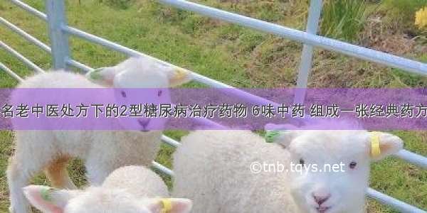 名老中医处方下的2型糖尿病治疗药物 6味中药 组成一张经典药方