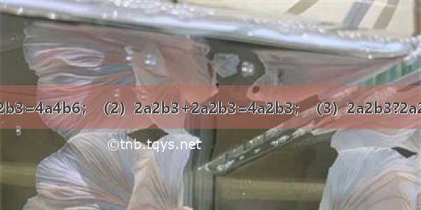 下列五个算式：（1）2a2b3+2a2b3=4a4b6；（2）2a2b3+2a2b3=4a2b3；（3）2a2b3?2a2b3=4a2b3；（4）2a2b3?2a2b