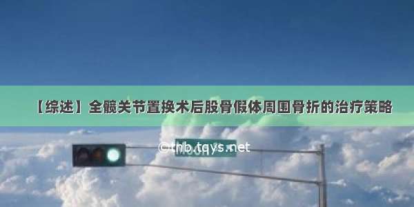 【综述】全髋关节置换术后股骨假体周围骨折的治疗策略