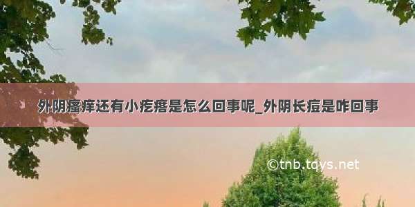 外阴瘙痒还有小疙瘩是怎么回事呢_外阴长痘是咋回事