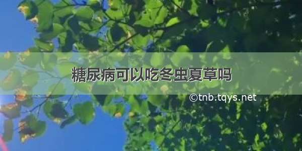 糖尿病可以吃冬虫夏草吗