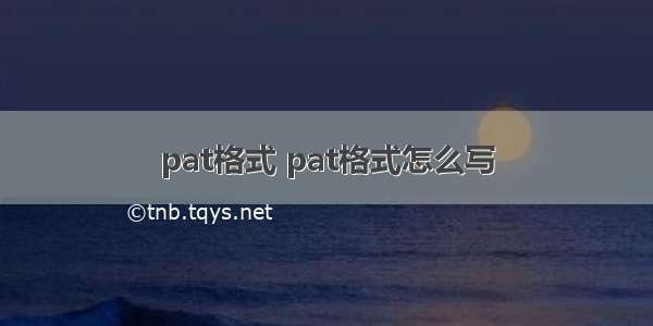 pat格式 pat格式怎么写