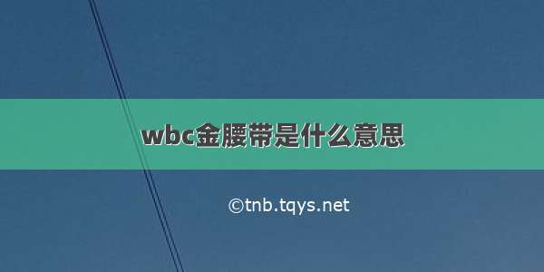 wbc金腰带是什么意思