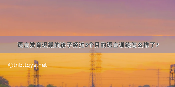 语言发育迟缓的孩子经过3个月的语言训练怎么样了？