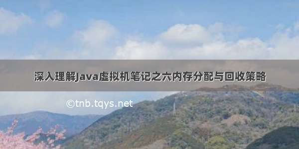 深入理解Java虚拟机笔记之六内存分配与回收策略