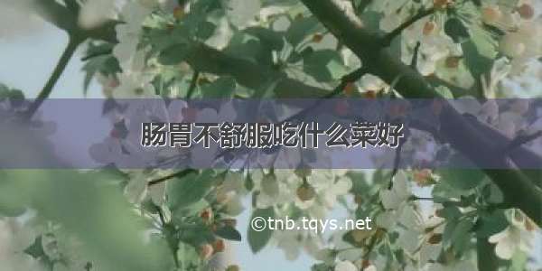 肠胃不舒服吃什么菜好