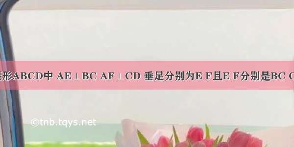 菱形ABCD中 AE⊥BC AF⊥CD 垂足分别为E F且E F分别是BC CD