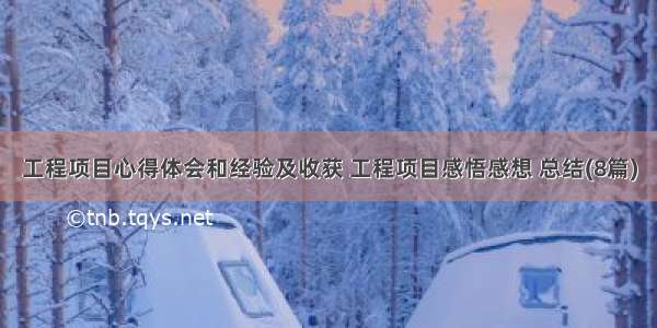 工程项目心得体会和经验及收获 工程项目感悟感想 总结(8篇)