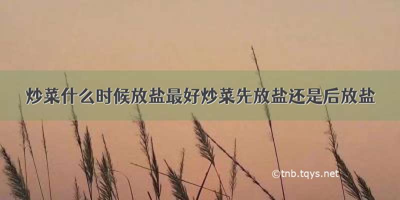 炒菜什么时候放盐最好炒菜先放盐还是后放盐