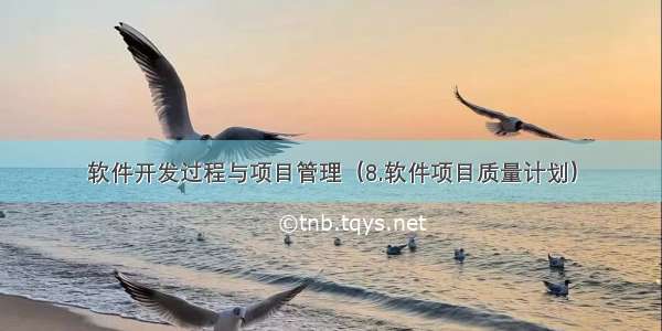 软件开发过程与项目管理（8.软件项目质量计划）