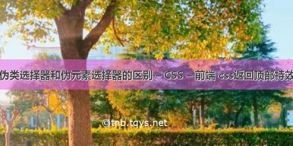 伪类选择器和伪元素选择器的区别 – CSS – 前端 css返回顶部特效