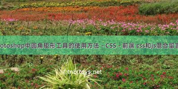 Photoshop中圆角矩形工具的使用方法 – CSS – 前端 css和js混合留言板